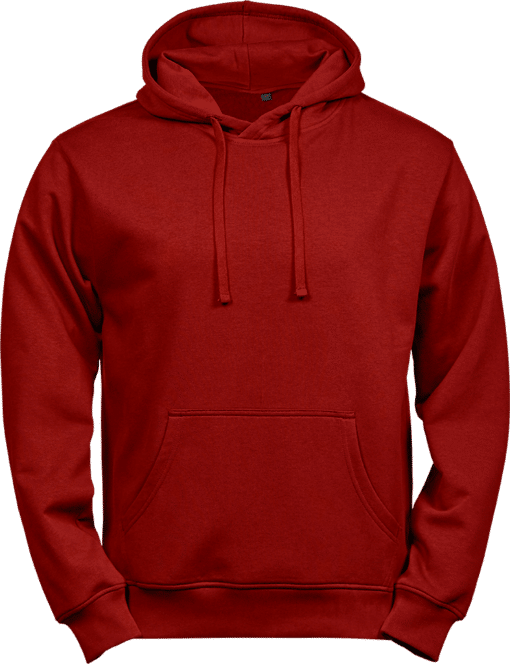 Premium Hoodie – Herr